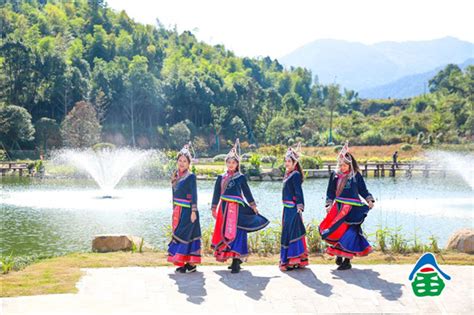 游客在竹垟畲族乡体验畲族特色文化活动-龙泉新闻网
