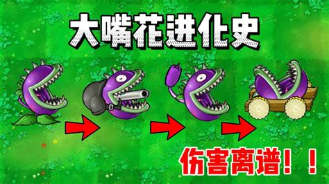 大嘴花图片
