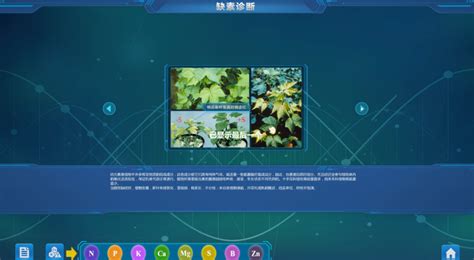 植物学虚拟仿真软件 - 植物学虚拟仿真软件 - 虚拟仿真-虚拟现实-VR实训-北京欧倍尔