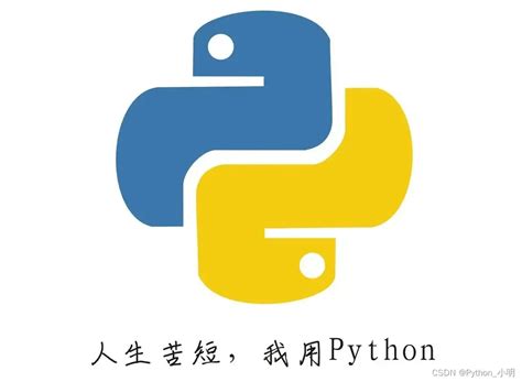 用Python写一个简单的表白代码，代码不多