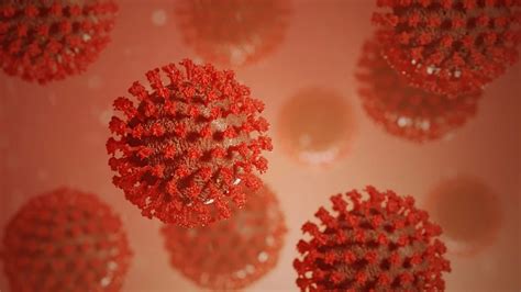 新冠病毒主要有六个变种