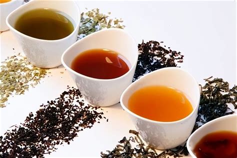 夏天喝红茶和绿茶到底有啥区别？行家：不是一般的大，弄懂后再喝 - 知乎