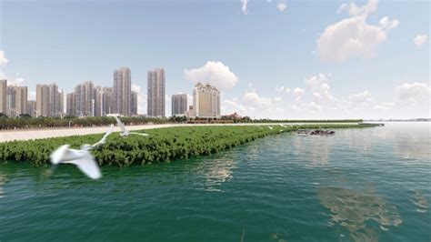 厦门杏林湾生态环境整治提升一期工程开工，将清淤313.3万立方米