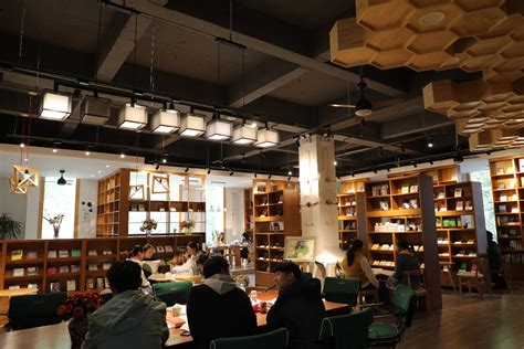 潍坊学院潍坊学院为师生办实事：优化图书馆育人环境，提升服务品质