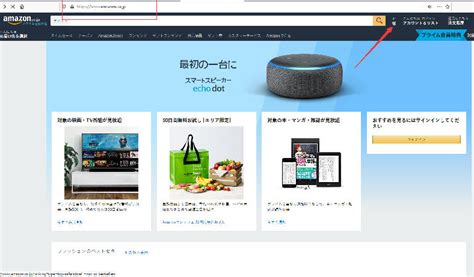 日本亚马逊海淘教程（全攻略）amazon co jp-全球去哪买