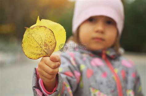 小孩子在秋天公园手里握着橙叶子孩和秋天高清图片下载-正版图片305962137-摄图网