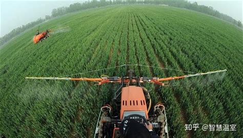 贵州省农业专家在清镇开展种子田间种植纯度鉴定|贵阳市|贵州省|清镇_新浪新闻