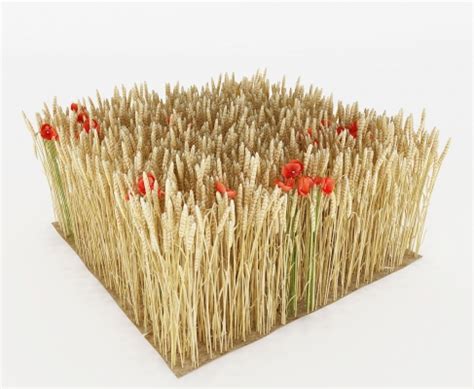 农作物水稻3d模型下载-【集简空间】「每日更新」