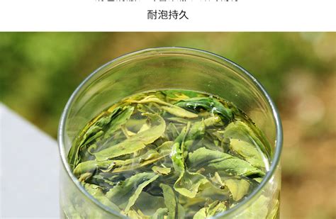 广东紫金绿茶2022新茶高山云雾特级明前春客家河源茶叶清香型500-阿里巴巴
