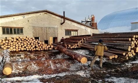 这个地区的木材行业现状：大多数人沉默，越来越多人离开_行业资讯_木头云