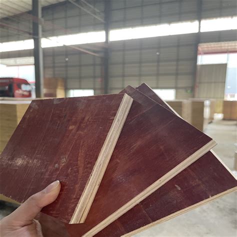 常用实木建筑模板公司-泸州实木建筑模板公司-金利木业公司_实木板材_第一枪