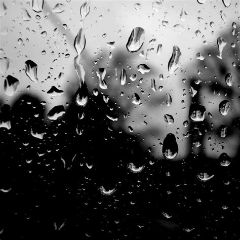 高清晰黑色雨滴水珠壁纸