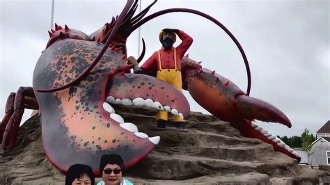 世界上最大的龙虾有多大？一只虾钳就和成年人胳膊一样粗_腾讯视频