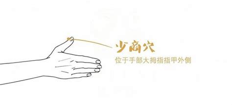 少商穴位图图片