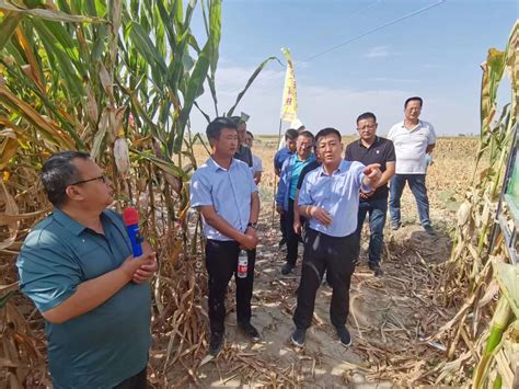 武威市人民政府 科技特派员在行动 9月6日，市农技中心科技特派员小分队在凉州区部分乡镇联合开展农作物病虫害防控技术指导