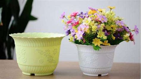 各种材质花盆的优缺点，为啥塑料盆和陶盆成为我常用的两种容器