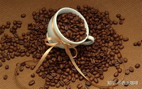 咖啡豆三大种类品种 咖啡豆主要产区与咖啡豆品种种类风味特点的区别 中国咖啡网