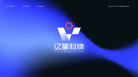 NICFI品牌视觉VI形象设计欣赏-深圳VI设计