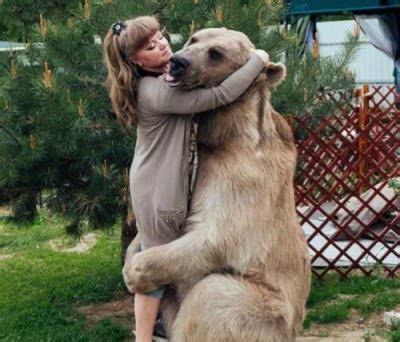 俄罗斯一夫妇养了头熊，还把熊培养成网红，真不愧是“战斗民族”|棕熊|夫妇|俄罗斯_新浪新闻