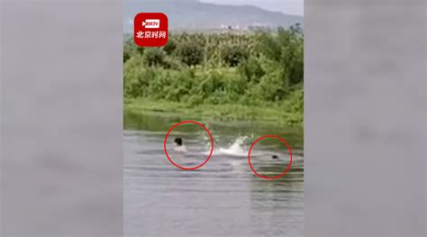 遭遇湍急水流 野泳男子被消防救起_株洲_湖南频道_红网