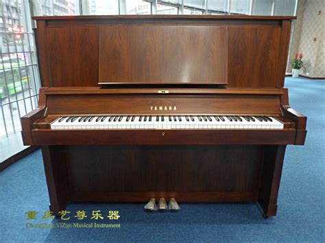 电钢琴 电子琴-重庆滚石果莉明乐器有限公司