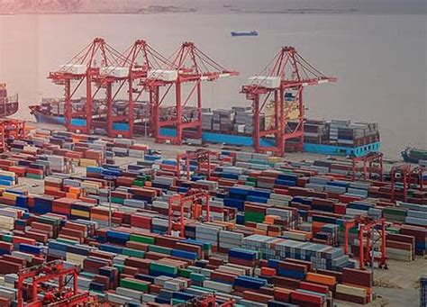 上海进口报关公司能提供哪些帮助 - 上海进口货代 - 上海天鸣国际货物运输代理有限公司