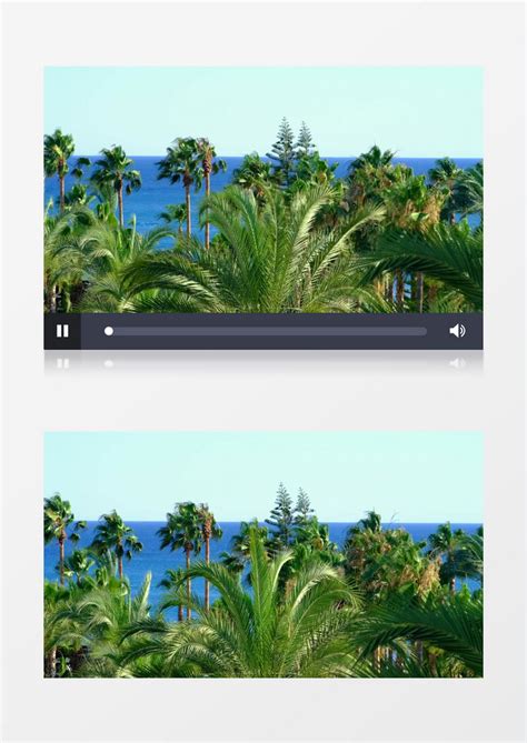 海边的树木在随风飘动实拍视频素材模板下载_实拍_图客巴巴