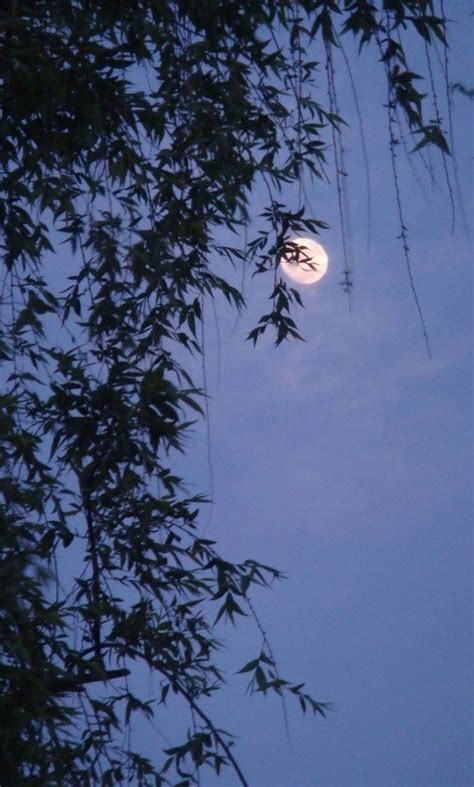 月上柳梢头，人约黄昏后，诗词中最美的15个「黄昏」名句