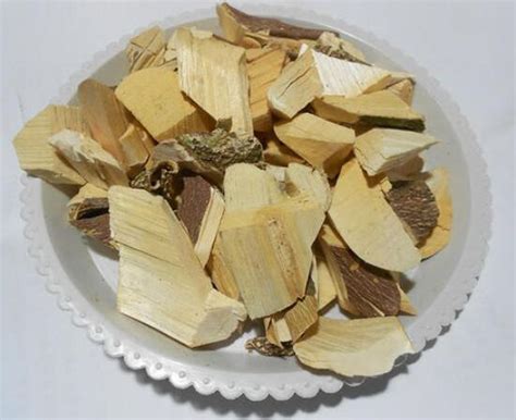 三叉虎图片