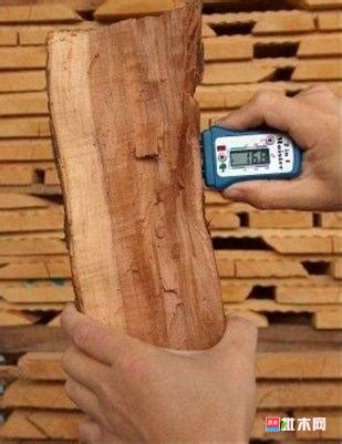 木材含水率的计算公式及详细认识【批木网】 - 木材专题 - 批木网
