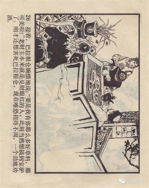 巴拉根图片