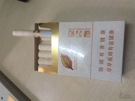 小天叶 - 香烟品鉴 - 烟悦网论坛