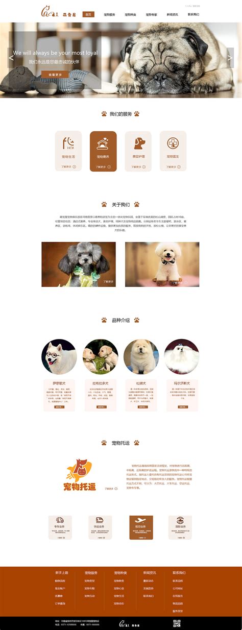 宠物用品网站设计|网页|企业官网|大璐璐wan - 原创作品 - 站酷 (ZCOOL)