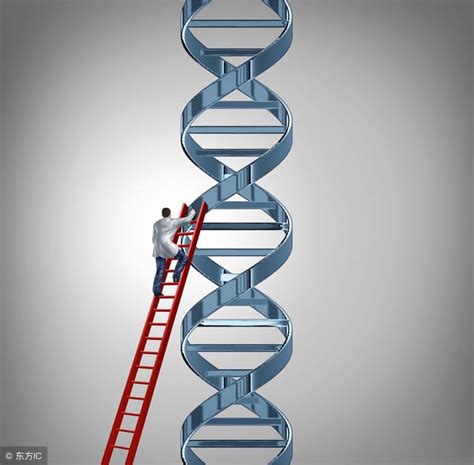 消费级基因检测是骗局还是科学？出路在哪？