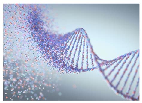 基因编辑技术新突破！科学家可以一次编辑多个基因组片段_CHyMErA
