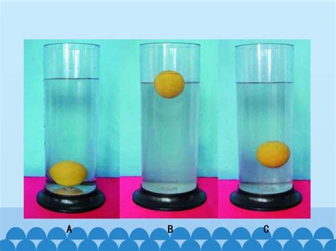 5. 将物体投入液体中，受力情况如图所示，则四个物体中将会下沉的是