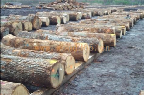 辽宁久久木业有限责任公司-中国木业网