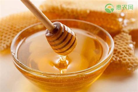 我国哪个地方产的蜂蜜最好最出名？ - 惠农网
