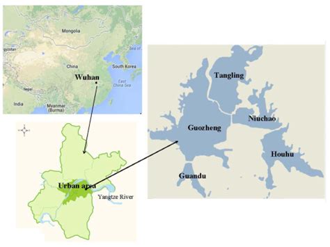 武汉东湖示意图（东湖是中国最大的城市内湖，位于湖北省武汉市，包括官渡湖、郭郑湖、牛巢湖、汤菱湖、后湖）