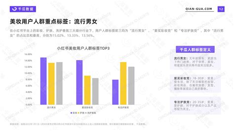 数据可视化分析中国最大的短视频平台，了解抖音的用户画像-迪赛智慧数