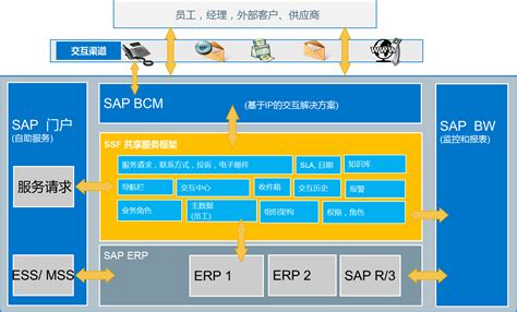 SAP解决方案，专业服务业行业SAP解决方案-帛丝云商