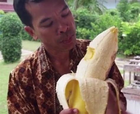 一根缅甸香蕉来中国的奇幻之旅！但是，为什么必须是青香蕉？ - 知乎