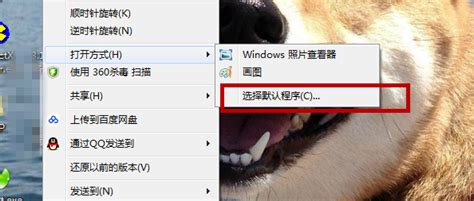 打不开图片