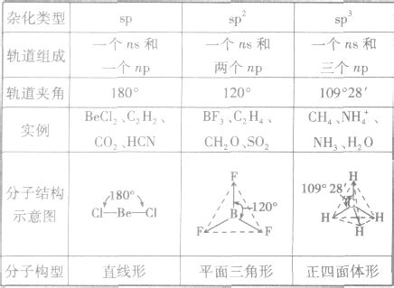 硼酸根离子杂化类型