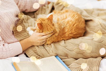 宠物,潮格人的女主与红色塔比猫床上家把主人红猫关家里的床上高清图片下载-正版图片300120032-摄图网