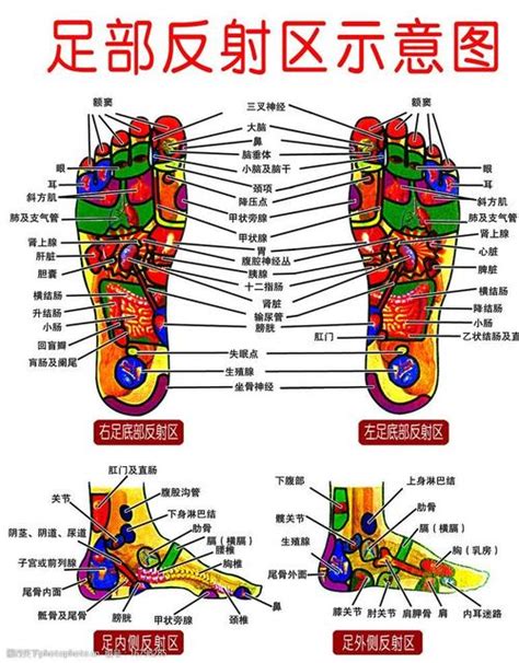 脚底图图片