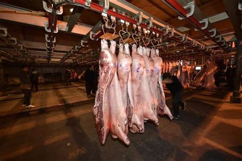 猪肉降价啦！八里桥市场主动下调交易费率稳定猪肉价格-搜狐大视野-搜狐新闻