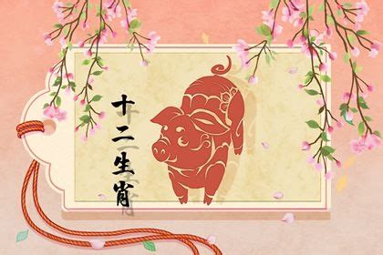 2019年属猪的张姓女宝宝起名大全_个性起名字大全网