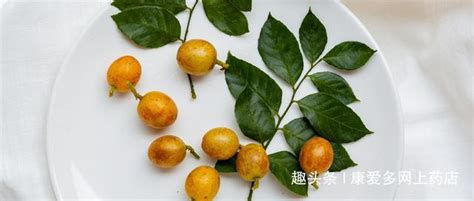 猕猴桃幼果膨大期追施花后膨果肥和水分管理-专家访谈-中国猕猴桃网