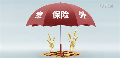 百度拿下保险中介牌照 互联网巨头们的保险生意怎么做_中国电子银行网